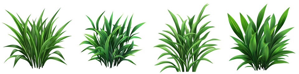 Vibrant tropical plants with lush green leaves, perfect for decor