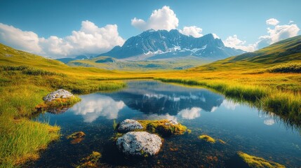 Obraz premium Mountain reflecting in alpine lake with grassy meadow.