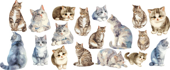 american shorthair watercolor clipart © dian's