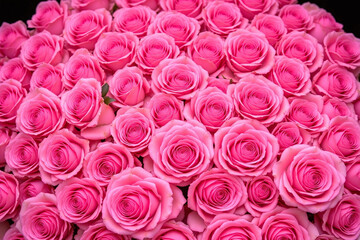 Dense vibrant arrangement of pink roses with blurred background