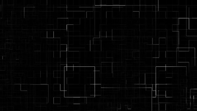 Black and white line pattern animation background. Digital maze loop