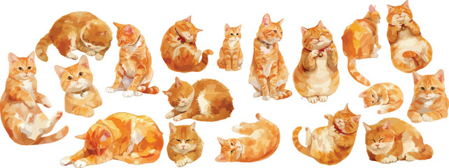 orange tabby cat watercolor clipart © dian's