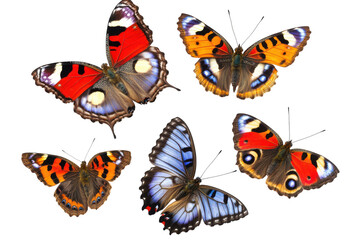 Vibrant Butterflies Isolated on transparent Background for Creative Projects and Designs