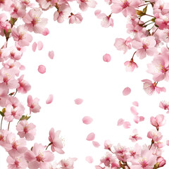Fototapeta premium cherry blossom