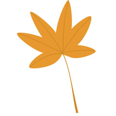 Autumn Leaves for vector element background