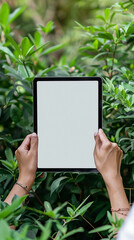 Blank Digital Tablet Screen Displayed by Woman Outdoors with Green Blur