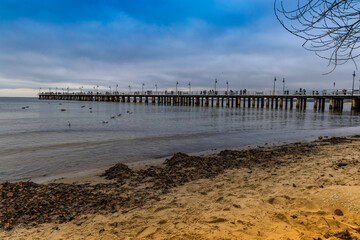 Sunset over the pier in Orłowo, swans on the Baltic Sea, winter on the Baltic Sea