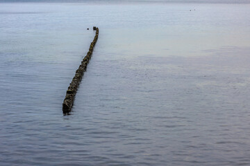 Wooden breakwater at the beach on the Baltic Sea