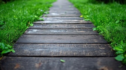 Fototapeta premium Wooden path through green grass in a garden.