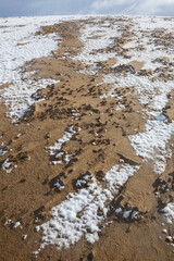 冬の鳥取砂丘の雪景色 鳥取県 鳥取砂丘
