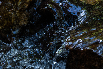 湿原の森を流れる小さな小川