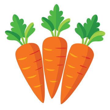 carrots and carrot