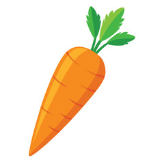 carrot illustration