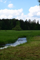 Natur pur. Nat&uuml;rlicher kleiner Bachlauf im Sommer zwischen Wiesen