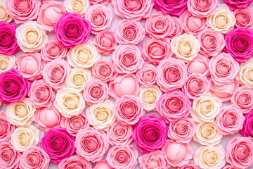 Roses in various pink and white shades densely packed cover entire frame