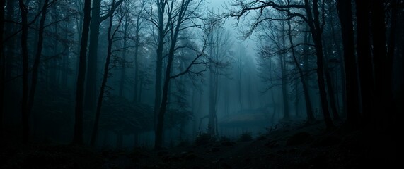 Dark forest with fog and pond