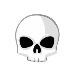 human skull vector illustration