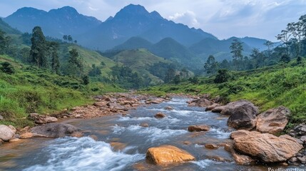 Mountain river flows through green valley.