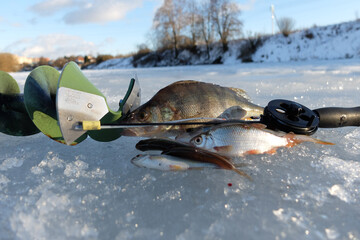 Winter fishing with ice fishing for perch