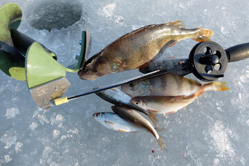 Winter fishing with ice fishing for perch