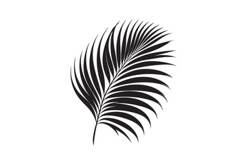 Fototapeta premium A Palm Tree Leaf Silhouette vector 
