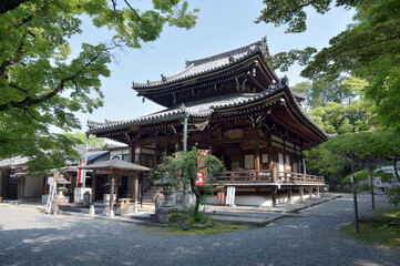 今熊野観音寺　新緑の本堂　京都市東山区泉涌寺