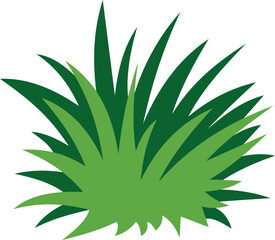 Grass clump illustration