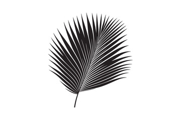 A Palm Tree Leaf Silhouette vector 