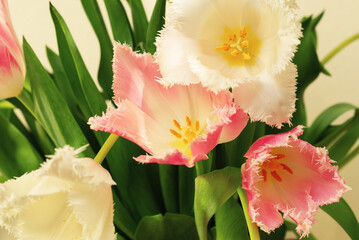 Still life with blossoming spring flowers in a bouquet.