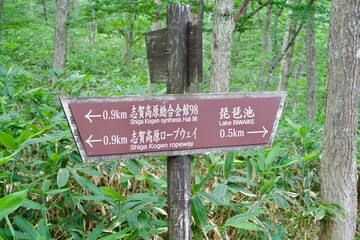Wooden signboard in the forest of Shiga Kogen