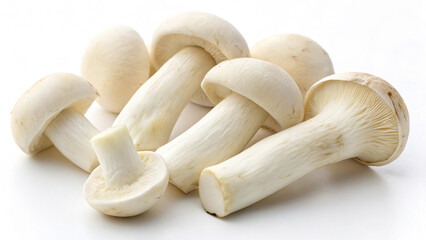 Fresh mushrooms on a white background