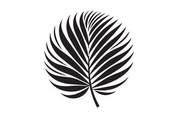 A Palm Tree Leaf Silhouette vector 