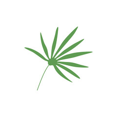 green leave on white