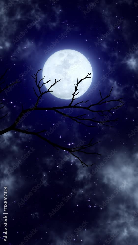 Wall mural full moon and tree branch, starry night sky with clouds meditation motion background,glowing and shi