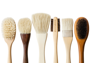 Vibrant Kitchen Brushes Isolated on Clean transparent Background for Home Design Use