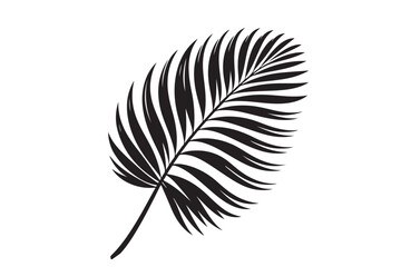 Obraz premium A Palm Tree Leaf Silhouette vector