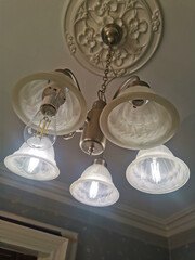 Elegant Ceiling Light Fixture with Decorative Medallion and Illuminated Glass Shades