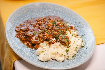 Mushroom and Herb Risotto with Rich Sauce