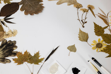 Handmade from leaves and paints. Preparations for frame craft from leaves with paints, brushes. Herbarium of dried different plants and flowers placed on paper.