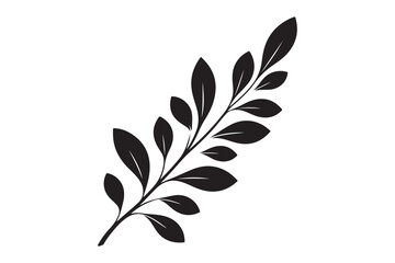 Fototapeta premium Branch with Teardrop Leaves Silhouette