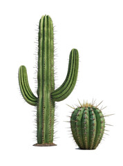 Naklejka premium cactus isolated on white