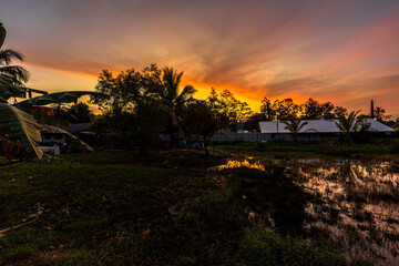 Background of morning or evening light of colorful sky, road during nature tour, surrounded by clouds and various trees.