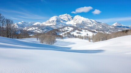 Fototapeta premium A snow covered mountain range with trees in the foreground