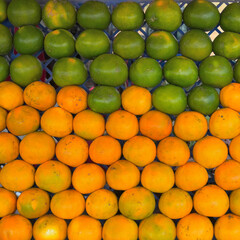 Closeup of oranges on a fruit shop.