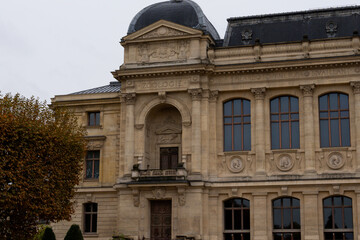 Fototapeta premium Historical zoology museum building with intricate architecture during overcast weather