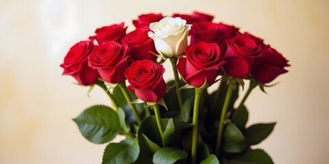 A dozen red roses, one creamy white, create a stunning bouquet.  A symbol of love and passion, beautifully arranged for a special occasion.