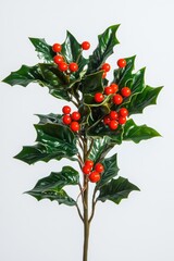 Fototapeta premium Red and green Christmas tree with red berries