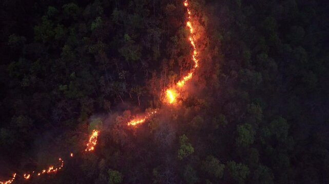 Wildfires release carbon dioxide (CO2) emissions and other greenhouse gases (GHG) that contribute to climate change.