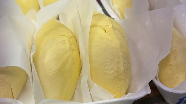 Thai Durian, Monthong 