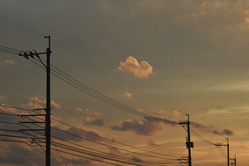 Lines of utility poles and wires at dusk